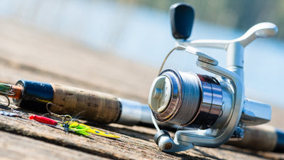 How to Maintain Your Fishing Reels Like a Pro