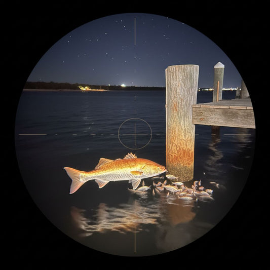 Thermal Imaging in Aussie Night Fishing: Spot Fish, Structure, and Surface Feeders After Dark