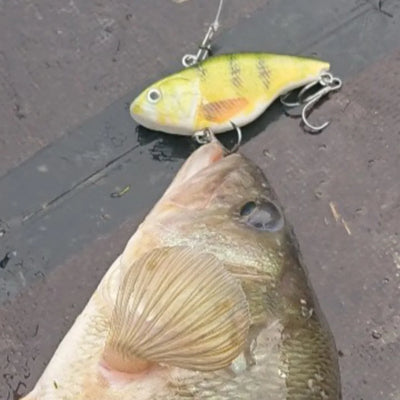 Sinking Vib Lures for Winter Crankbait Fishing