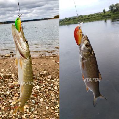 Mini Wobblers Lure Set with Tackle Box