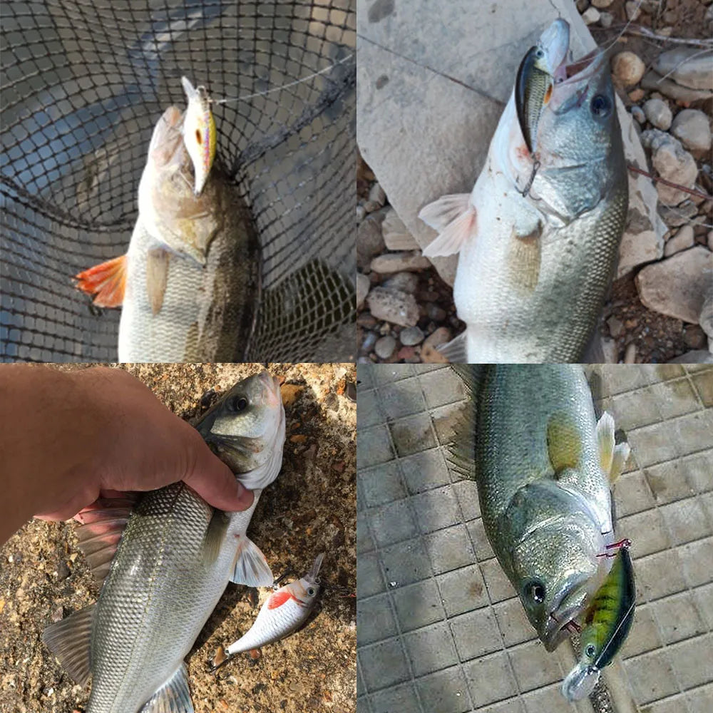 Floating Rattling Crankbait Lure Set for Pike
