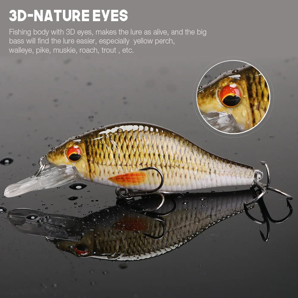 Floating Black Minnow Lure Set with Tackle Box