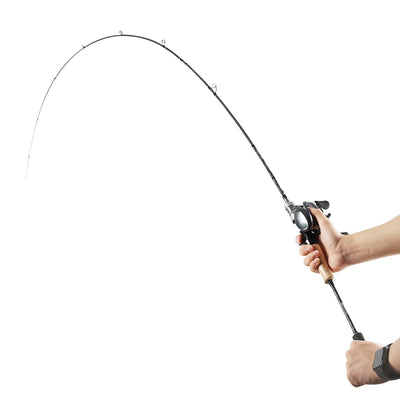 Falcon Series Dual-Tip Carbon Lure Fishing Rod