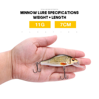 Floating Minnow Lure Set for Pike Fishing