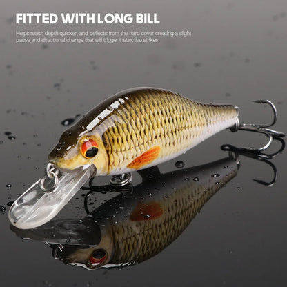 Floating Black Minnow Lure Set with Tackle Box