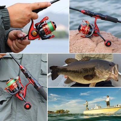 Spinning Rod and Reel for Bass Pike Trout