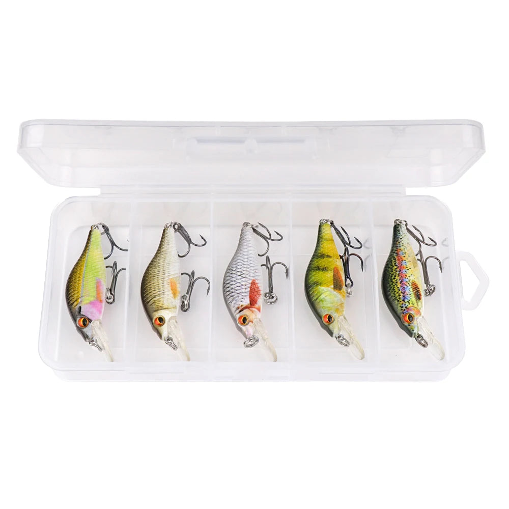 Floating Black Minnow Lure Set with Tackle Box