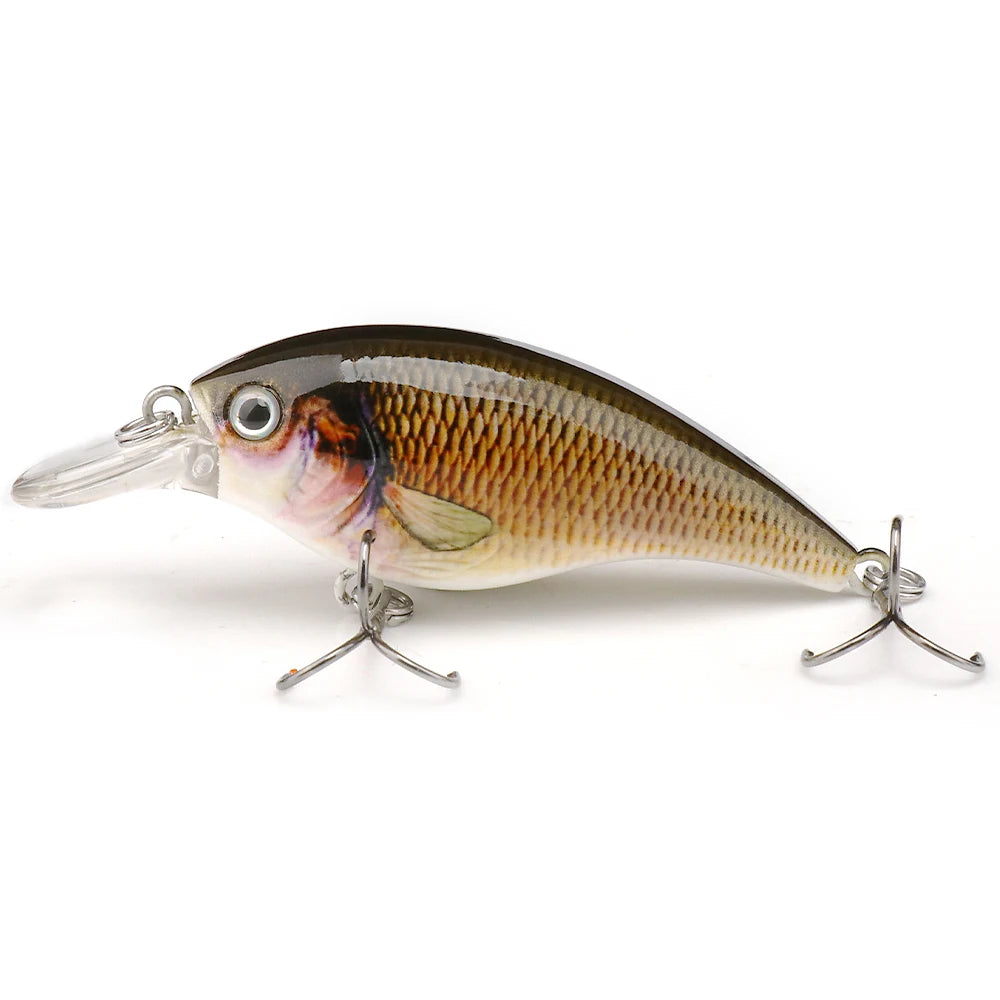 Rattling Floating Minnow Crankbait for Pike