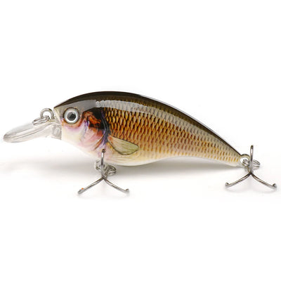 Rattling Floating Minnow Crankbait for Pike
