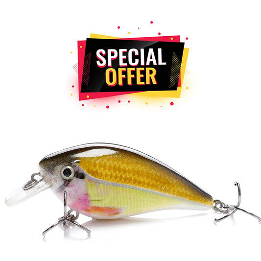 Compact Floating Crankbait Lure for Pike