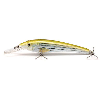 Bionic Floating Minnow Fishing Lure for Pike